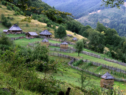 Foto Parcul Natural Muntii Maramuresului (c) romaniaroute.ro